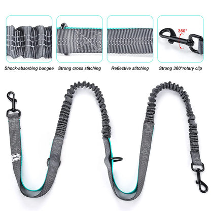 Portable Animal Leash for Outdoor Exercise and Walking