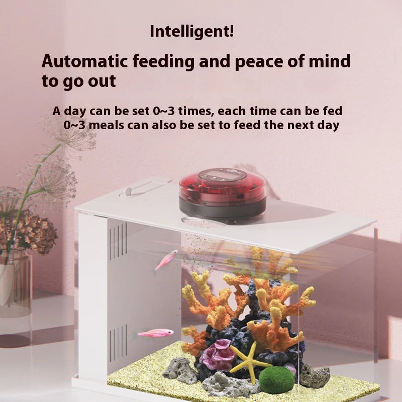 Automated Aquarium Feeder Schedule for Fish Food