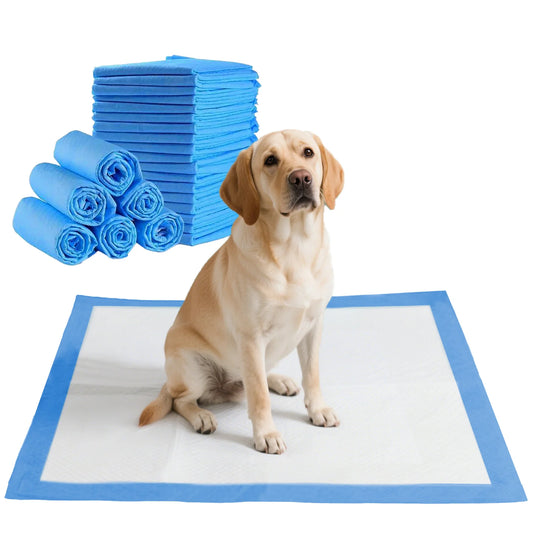 Goofypet 22" X 22" 100 Pcs Premium Disposable Training Pads, Dog Pee Pads, Puppy Pee Pads
