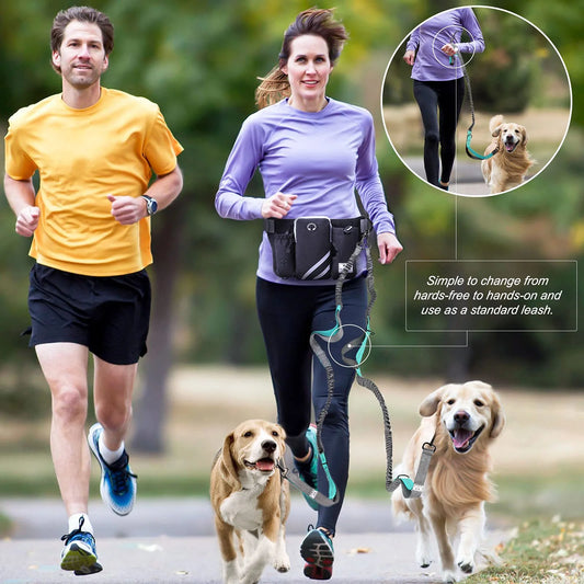 Portable Animal Leash for Outdoor Exercise and Walking