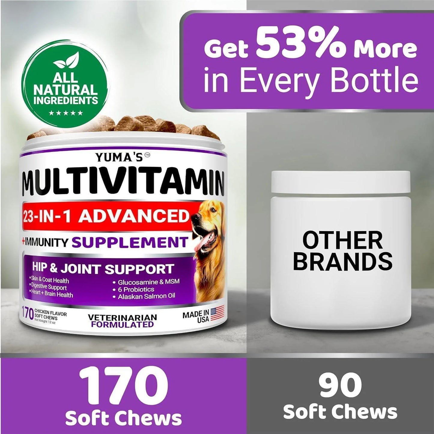 (2 Pack) Multivitamin Treats for Dogs Made in USA