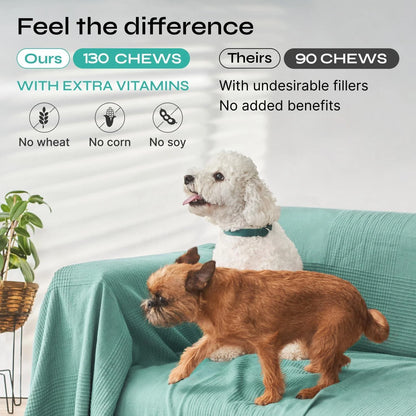 Calming Chews for Dog Anxiety Relief Calming Treats for Dogs Stress Separation