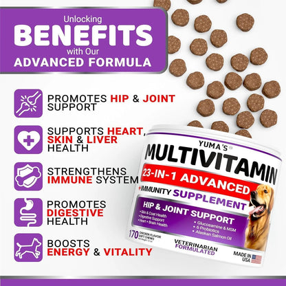 (2 Pack) Multivitamin Treats for Dogs Made in USA
